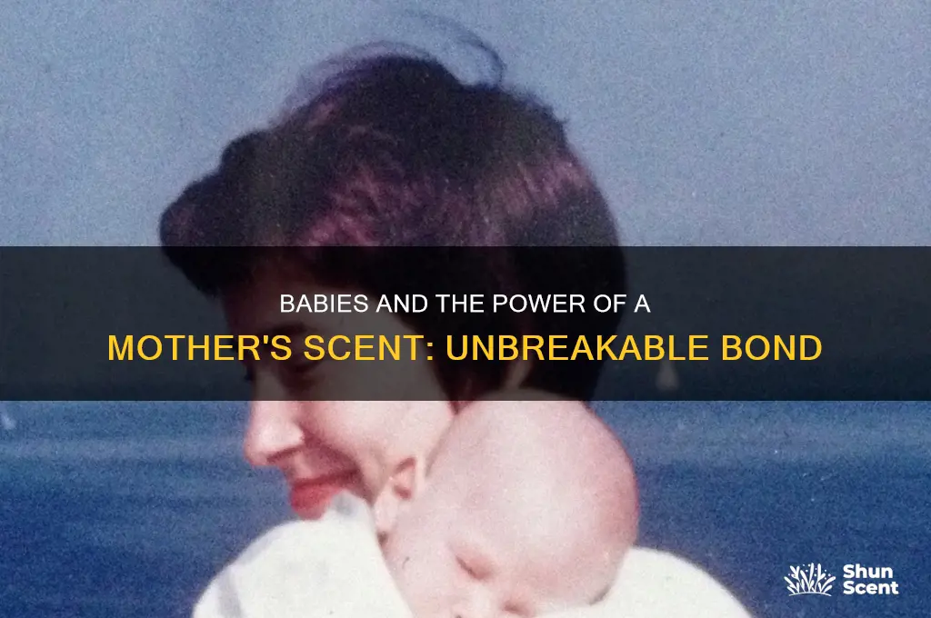 can babies recognize a mother