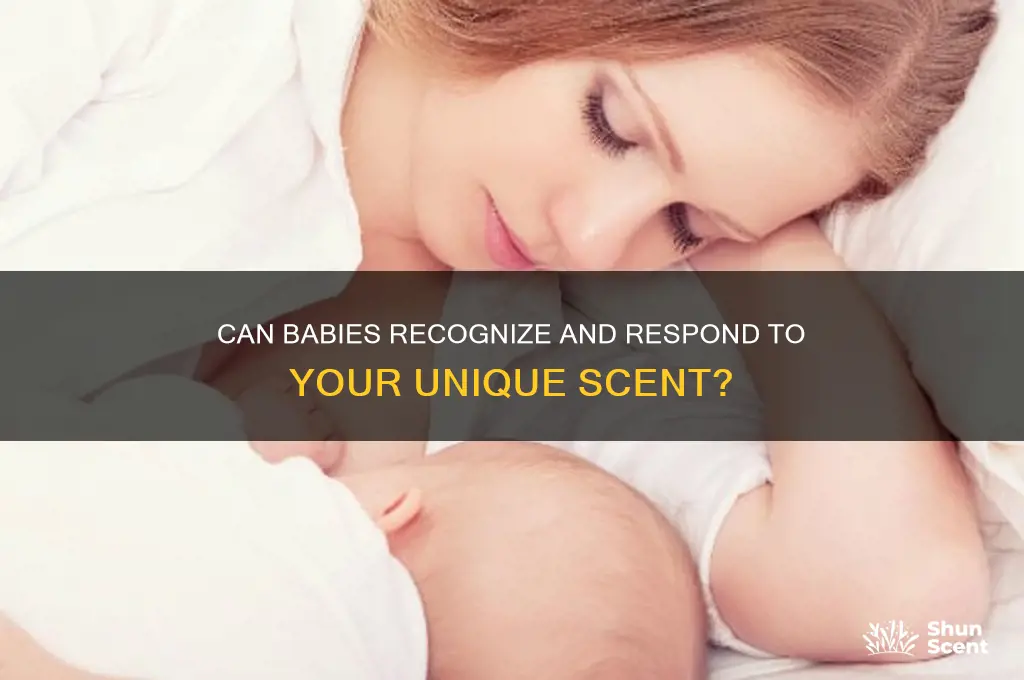 can babies smell your scent