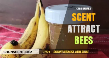 Does Banana Scent Attract Bees? Uncovering the Surprising Connection