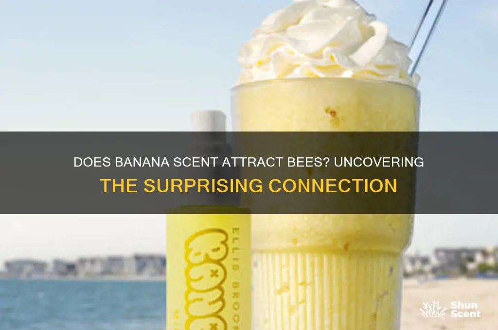 can bannana scent attract bees