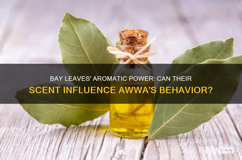 can bay leaves scent drive awwa