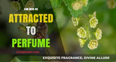 Bees and Perfume: A Fragrant Attraction
