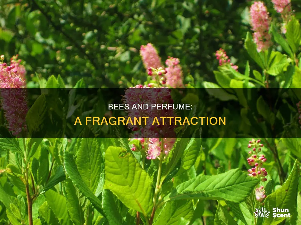can bees be attracted to perfume