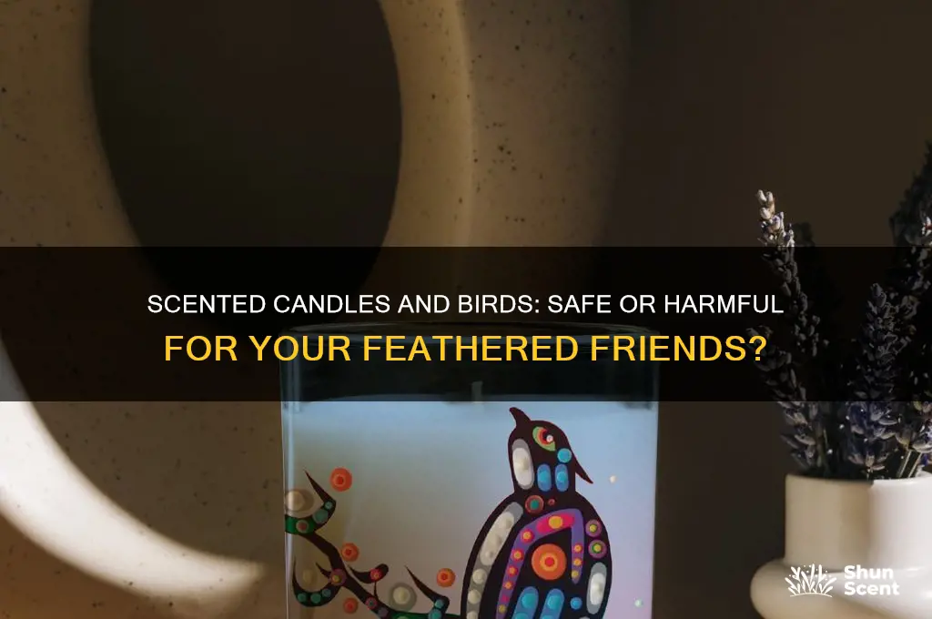 can birds be around scented candles