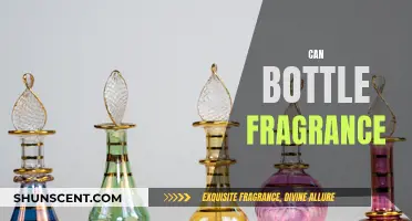 Captivating Scents: Can Bottle Fragrance for Long-Lasting Aroma