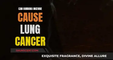 Incense Burning: A Lung Cancer Risk?