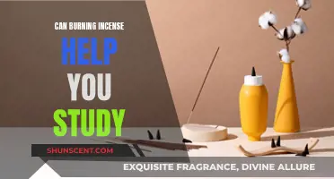 Incense and Studying: A Fragrant Focus Formula?