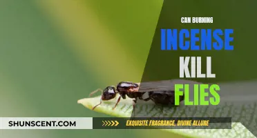 Incense and Flies: A Natural Insect Repellent?