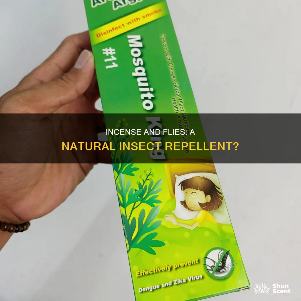 can burning incense kill flies