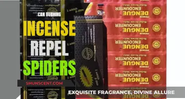 Incense and Spiders: A Fragrant Repellent?