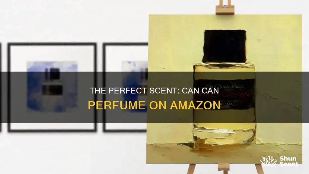 can can perfume amazon