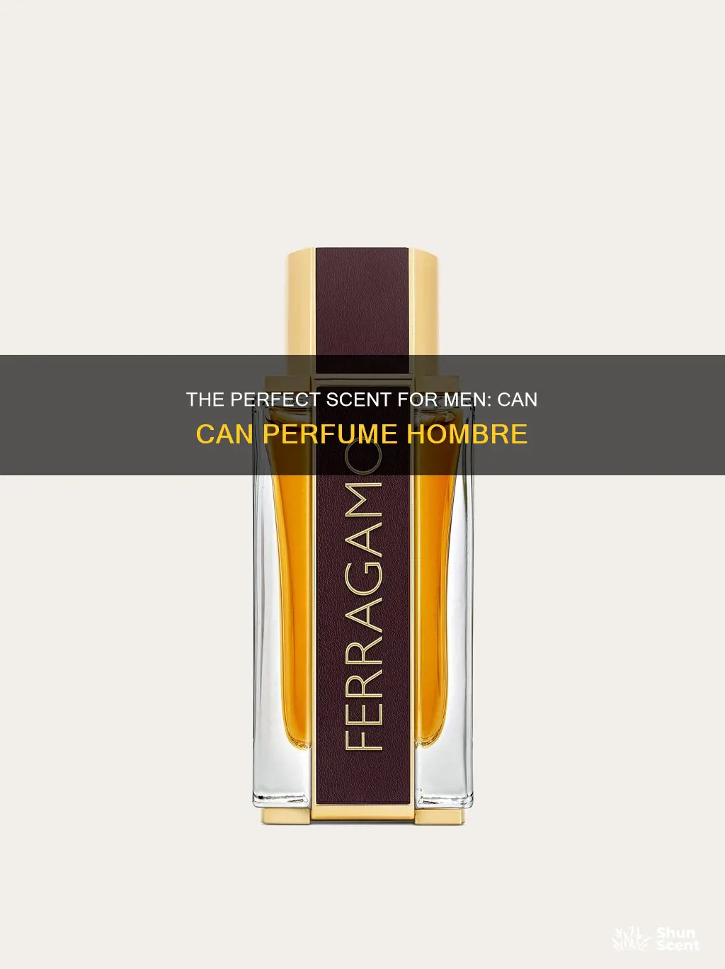 can can perfume hombre