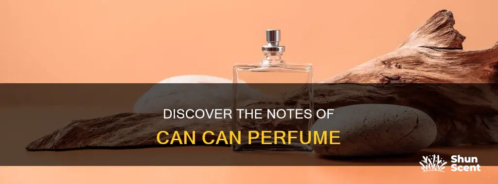 can can perfume notas