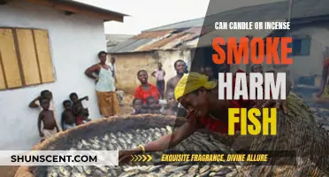 Candle and Incense: Are They Safe for Fish?
