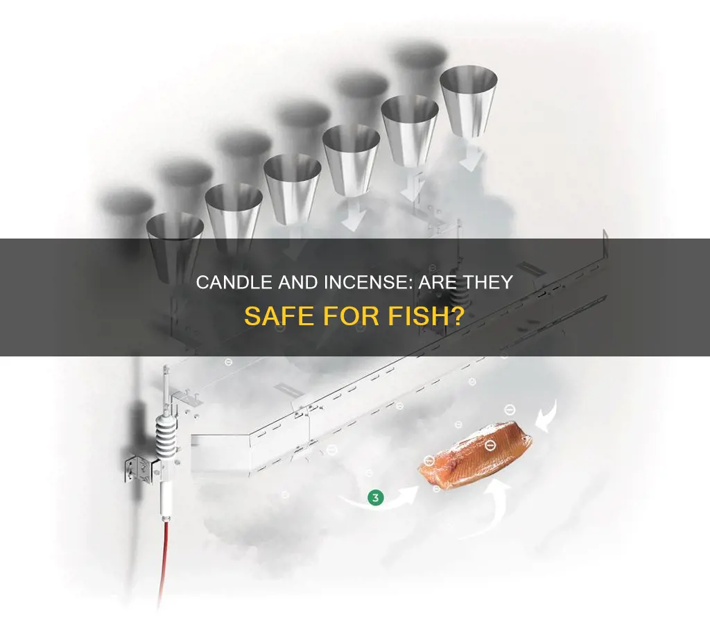 can candle or incense smoke harm fish