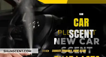Revitalize Your Ride: The Ultimate Guide to Can Car Scents
