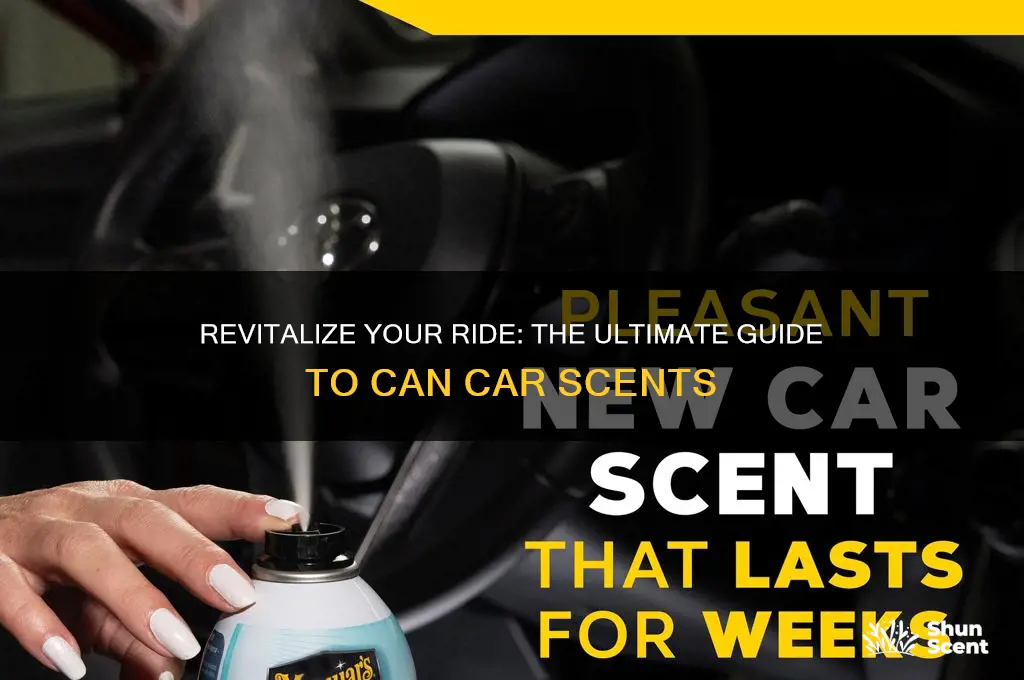can car scent