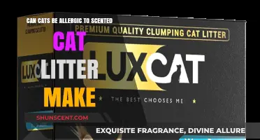 Can Scented Cat Litter Cause Allergies in Your Feline Friend?