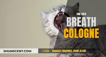 Cologne and Cats: Safe or Not?