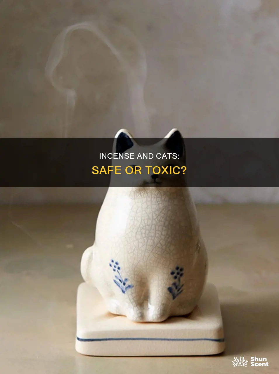 can cats breathe incense