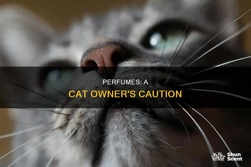 can cats die from perfume