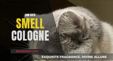 Cats' Super Sense of Smell: Cologne Included