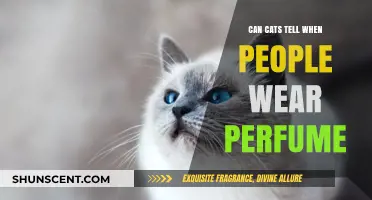 How Cats React to Your Perfume