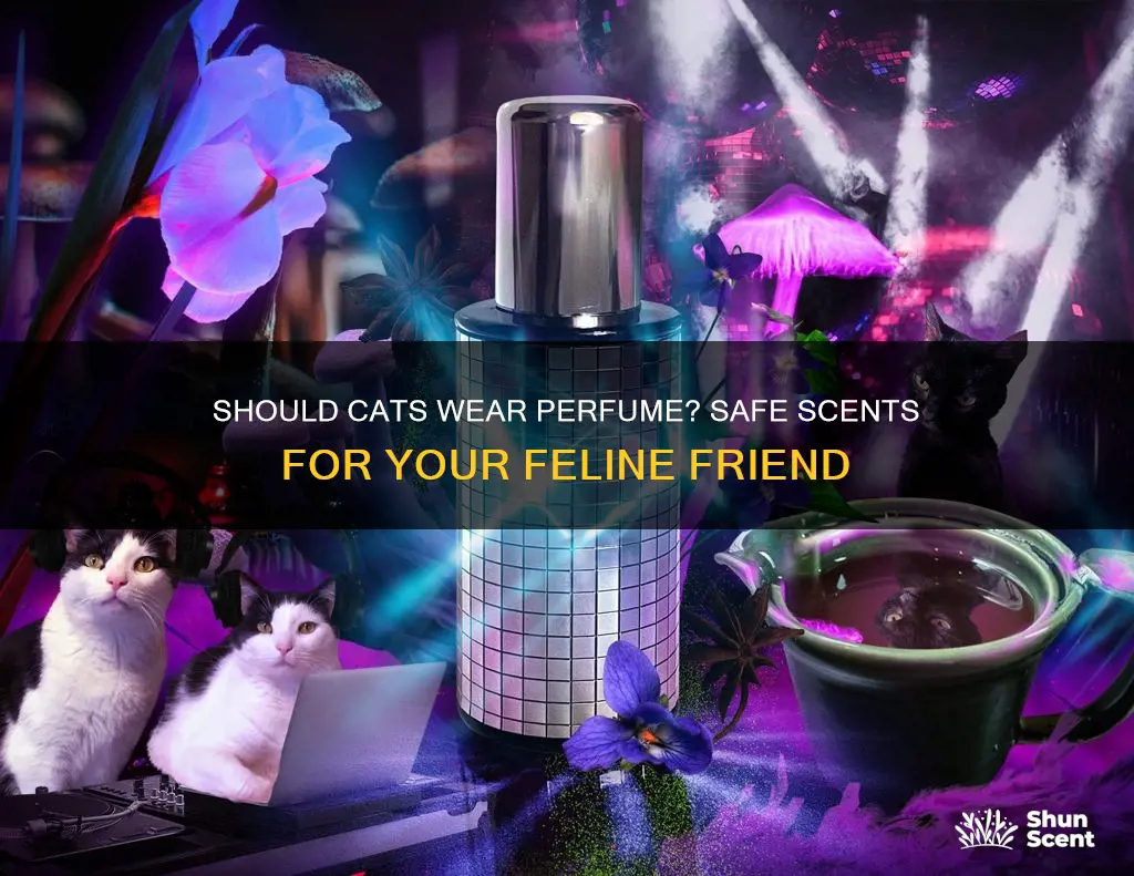 can cats wear perfume