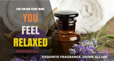 Aromatherapy Secrets: How Scents Can Instantly Calm Your Mind