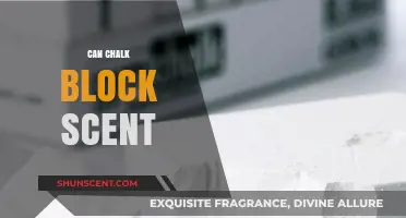 Chalk's Surprising Ability to Block Unwanted Scents: A Natural Solution