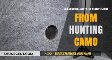 Charcoal Air Filters: Effective Scent Removal for Hunting Camo?