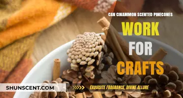 Crafting with Cinnamon-Scented Pinecones: Creative Ideas and Tips