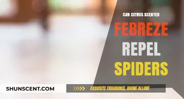 Citrus Scented Febreze: Effective Spider Repellent or Just a Myth?