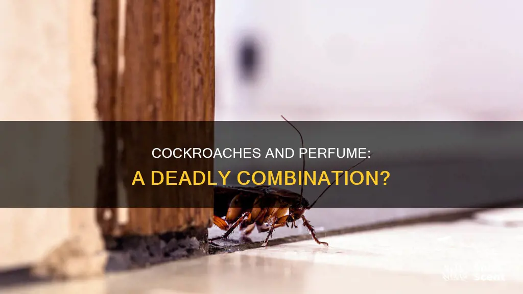 can cockroaches die from perfume