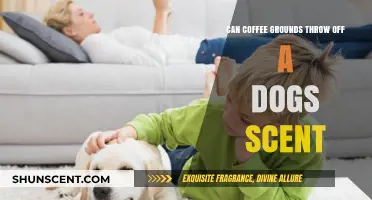 Can Coffee Grounds Disrupt a Dog's Scent Tracking Abilities?