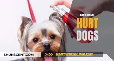 Cologne and Canine Health: A Cautionary Tale