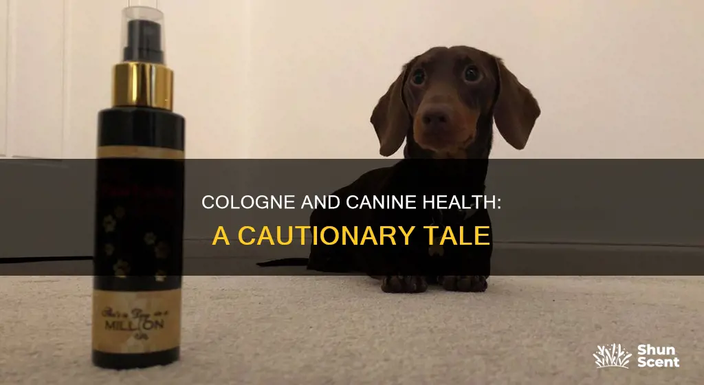 can cologne hurt dogs