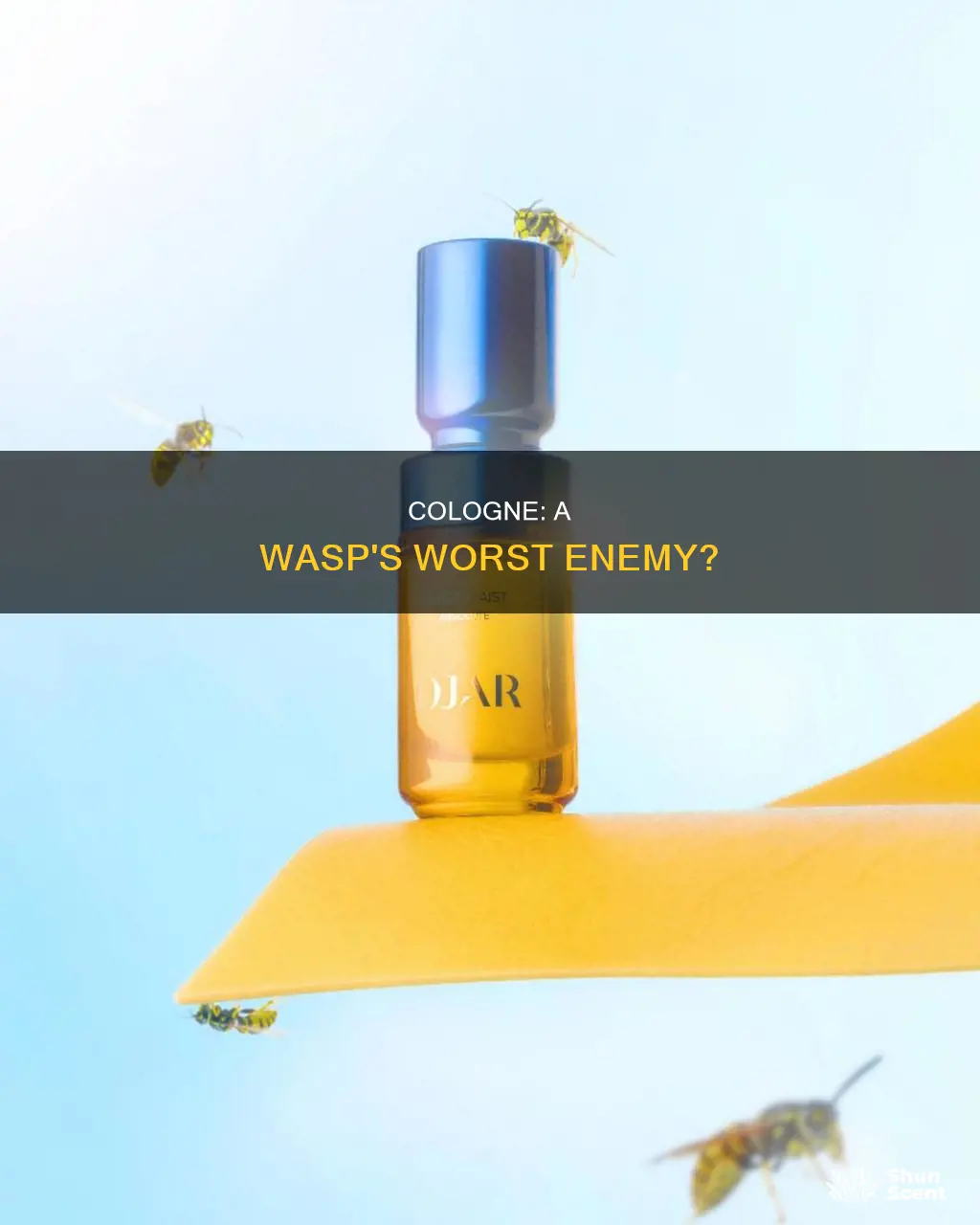 can cologne kill a wasp