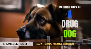 Colognes and Drug Dogs: Can Scents Interfere?