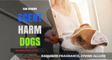 Cooking Scents: Are They Harmful to Your Dog's Health?