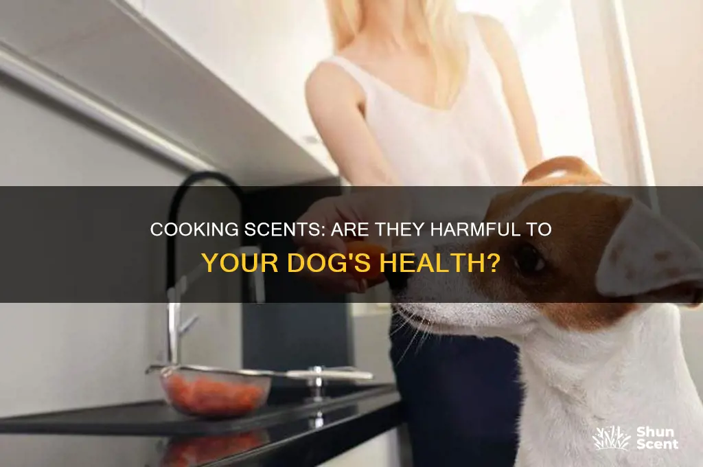 can cooking scent harm dogs