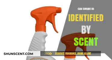 Can Curare's Unique Scent Aid in Identification and Detection?