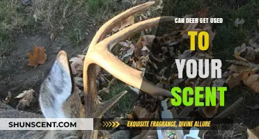 Can Deer Adapt to Human Scents? Exploring Wildlife Habituation