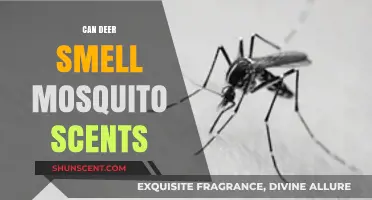 Do Deer Detect Mosquito Scents? Unraveling the Olfactory Mystery