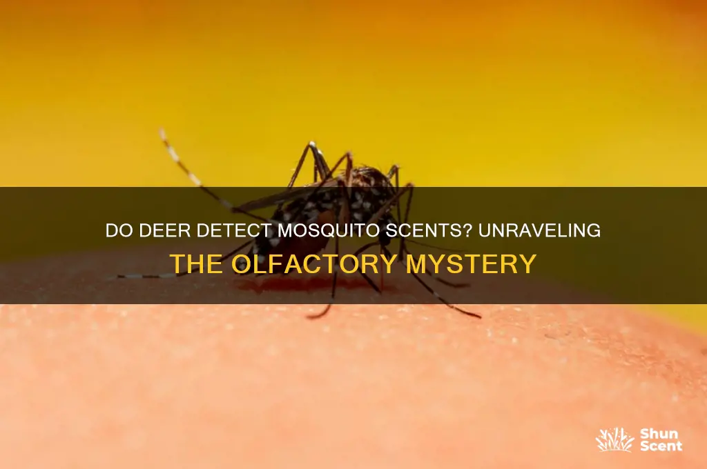 can deer smell mosquito scents