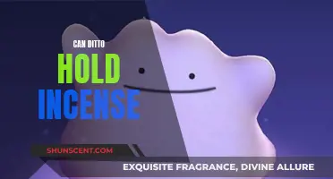 Ditto's Incense Holding Ability: Exploring the Possibilities