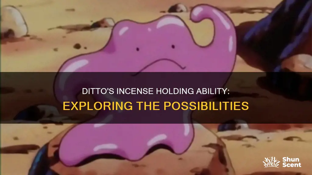 can ditto hold incense
