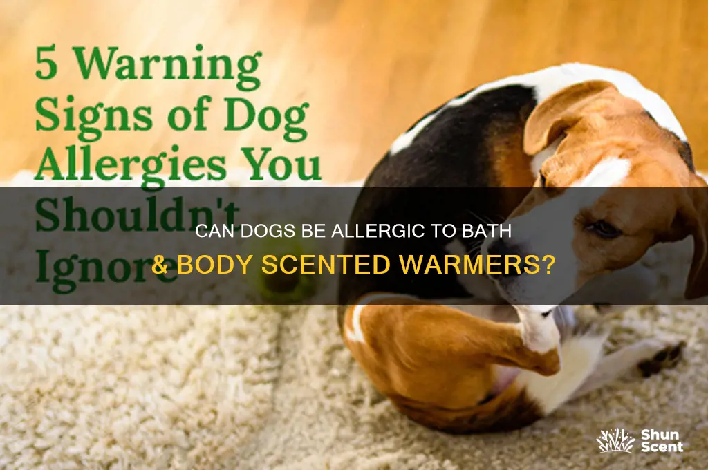 can dogs be allergic to bath & body scented warmers
