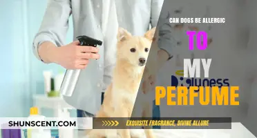 Perfumes: Are They Safe for Dogs?