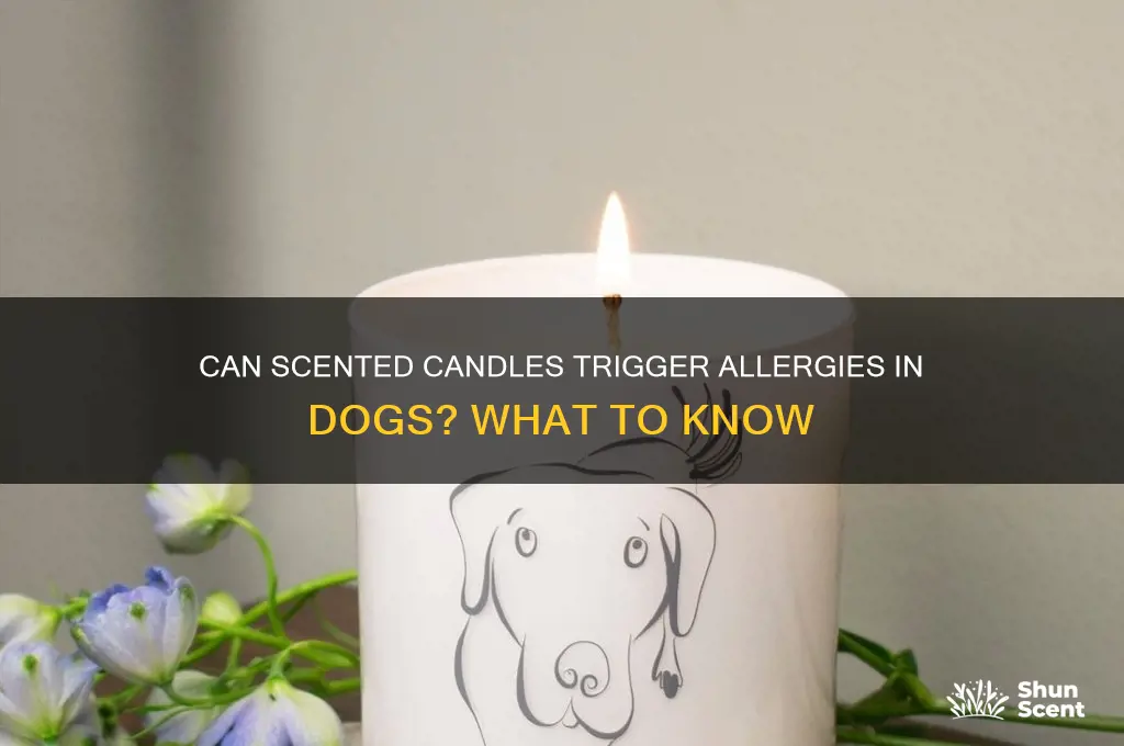 can dogs be allergic to scented candles